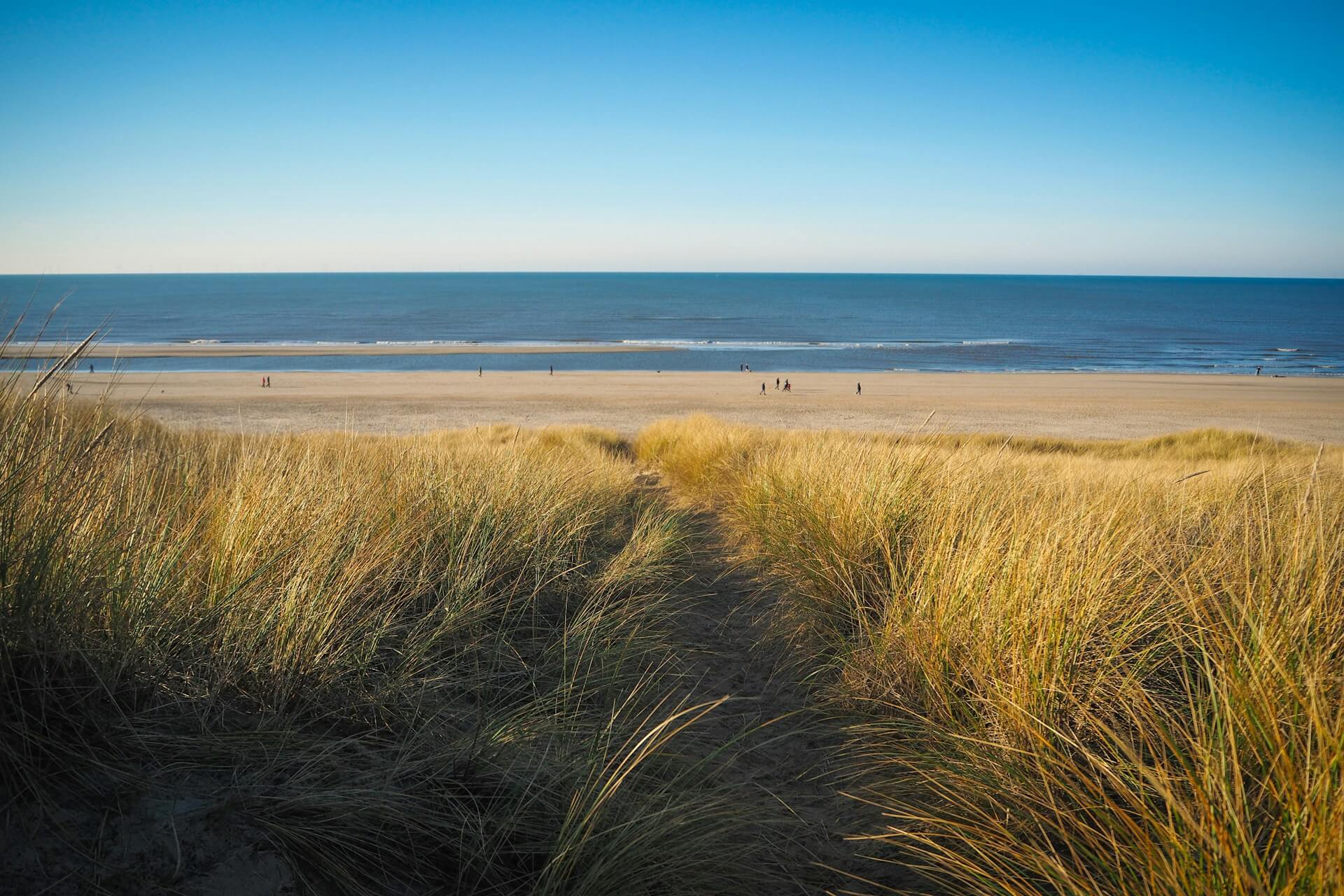 Ijmuiden